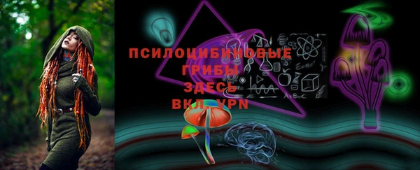 трава Надым