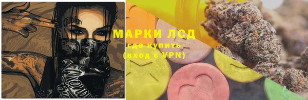 трава Надым