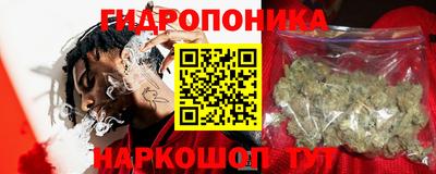индика Ликино-Дулёво