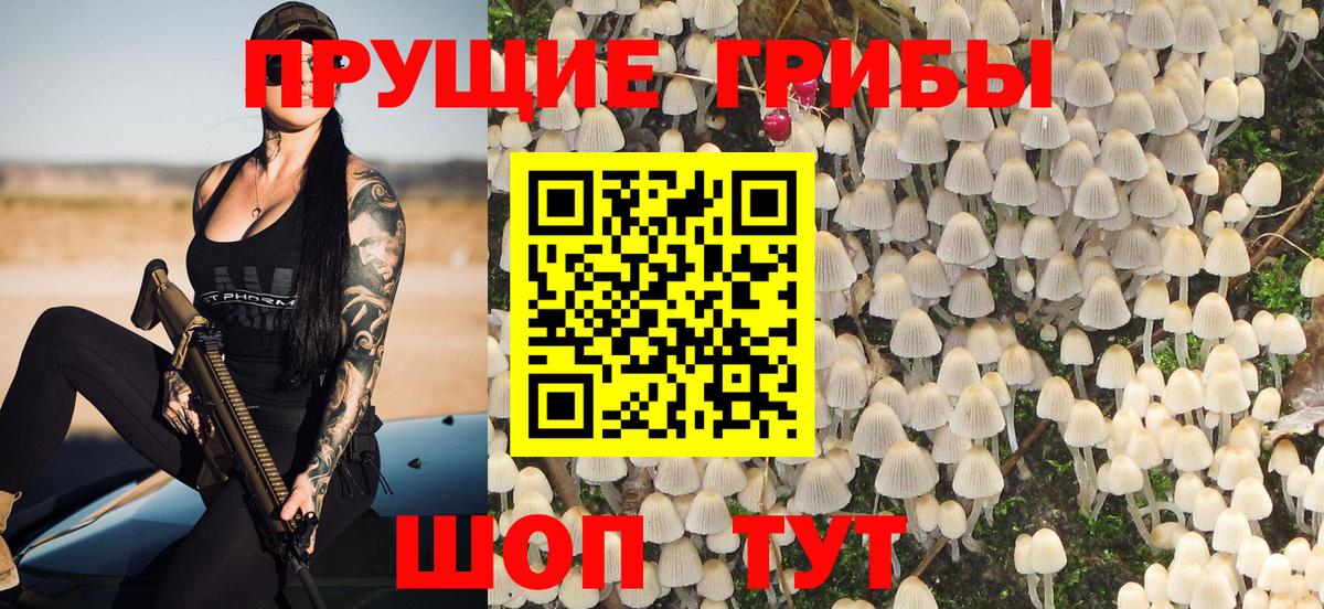 Галлюциногенные грибы Cubensis  Галлюциногенные грибы Psilocybe  Вход с VPN  Белгород 