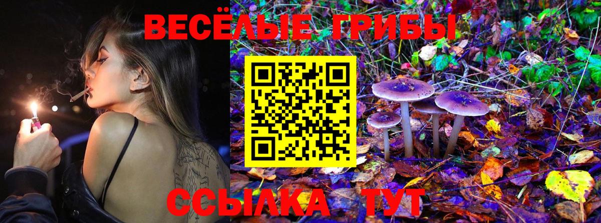 Галлюциногенные грибы прущие грибы Белгород