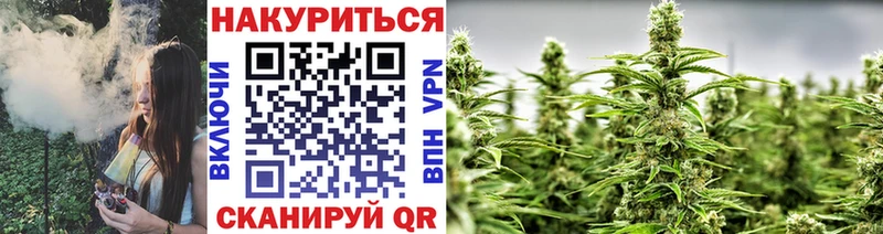 omg ТОР  Белгород  Канабис план  купить наркотик 
